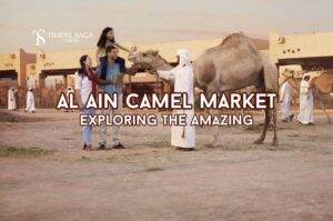 Al Ain Camel Market | The Desert Safari in Dubai blog banner by the desert safari in dubai