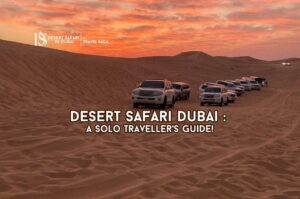 Desert Safari Dubai | Desert Safari Dubai Tours
