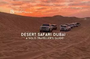 Desert Safari Dubai Blog Banner By thedesertsafariindubai.com