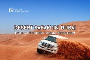 Desert Safari in Dubai | Desert Safari Dubai Tours