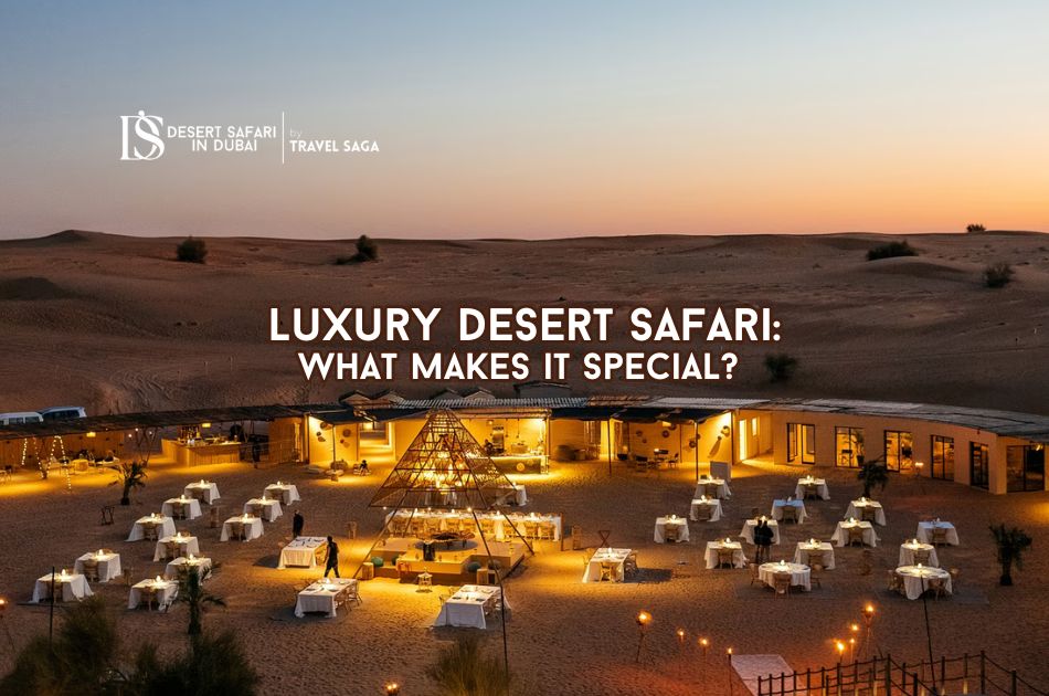 Luxury Desert Safari: What makes it special?