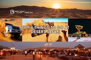 Things to Do on a Desert Safari | Desert Safari Dubai