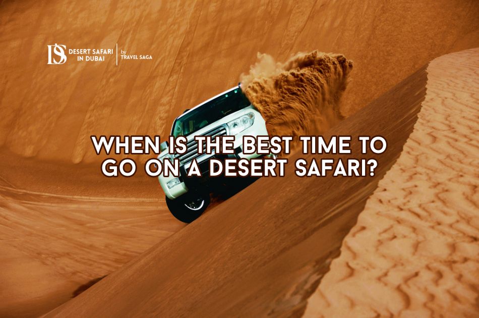 When Is the Best Time To Go On a Desert Safari?