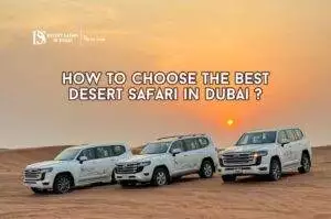 Desert Safari in Dubai Blog Banner By thedesertsafariindubai.com