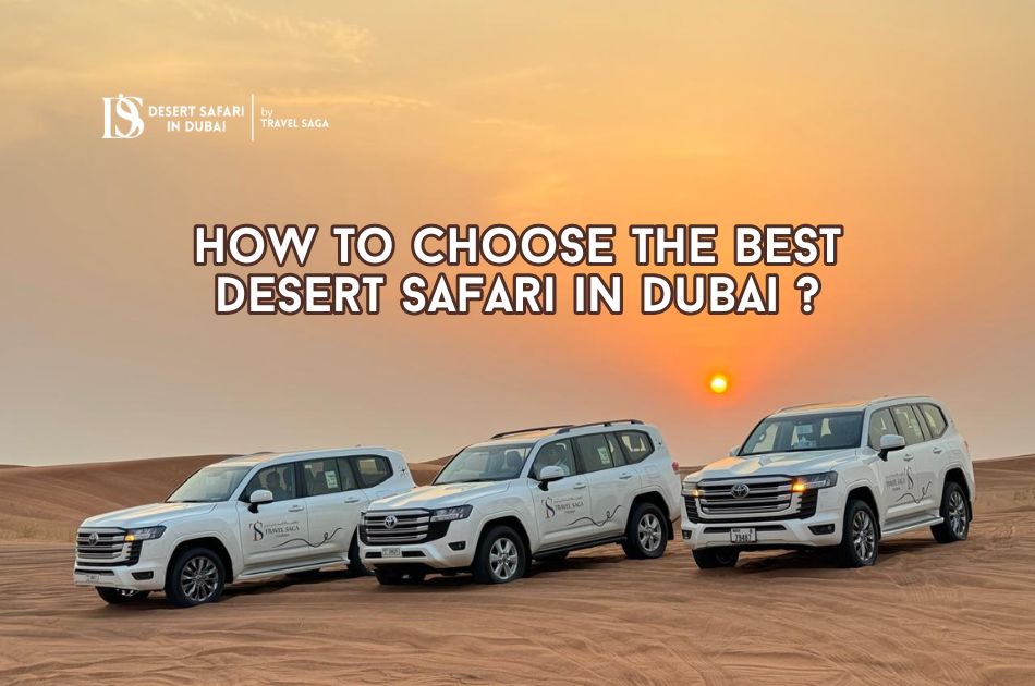 How to Choose the Best Desert Safari in Dubai?