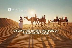 Wonders of Dubai’s Desert Safari | Desert Safari Dubai