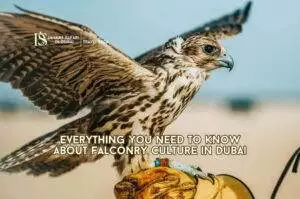 Royal Falconry Training and Nature Safari Blog Banner By thedesertsafariindubai.com