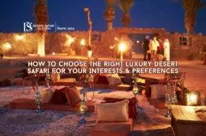 Luxury Desert Safari Dubai Blog Banner By thedesertsafariindubai.com