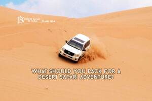 Desert Safari Adventure | Heritage Desert Safari