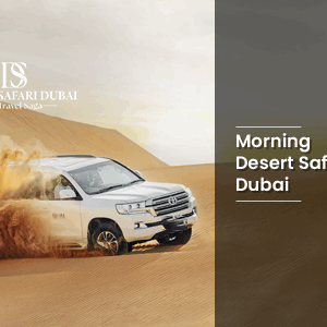 Morning Desert Safari Dubai With Dune Bashing BT Thumbnail by Thedesertsafariindubai.com