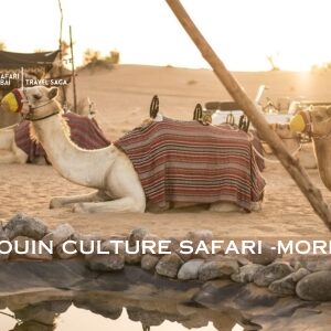 Bedouin Culture Safari | Book Your Bedouin Culture Experience