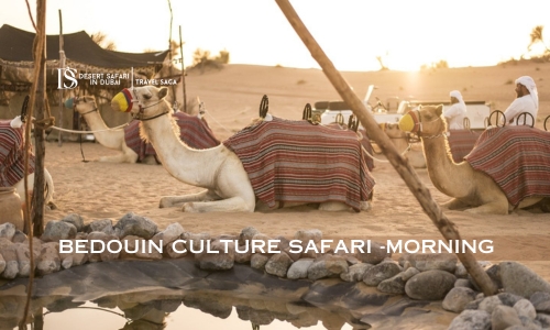 Bedouin Culture Safari-Morning