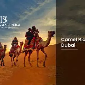 Camel Ride Dubai desert safari experience