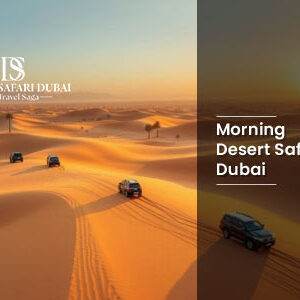 Morning desert safari dubai | morning desert safari dubai price Thumbnail By the Desert Safari In Dubai