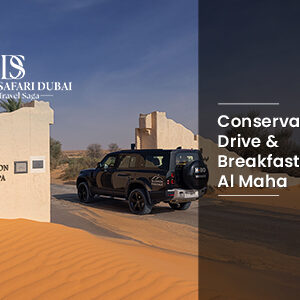 Conservation Drive and Breakfast at Al Maha Desert Resort, Desert Conservation Wildlife THUMBNAIL by Desert Safari In Dubai