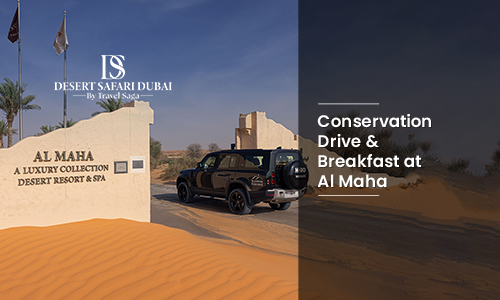 Conservation Drive & Breakfast at Al Maha