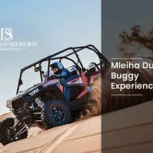 Book Dune Buggy With Private Dinner desert buggy ride