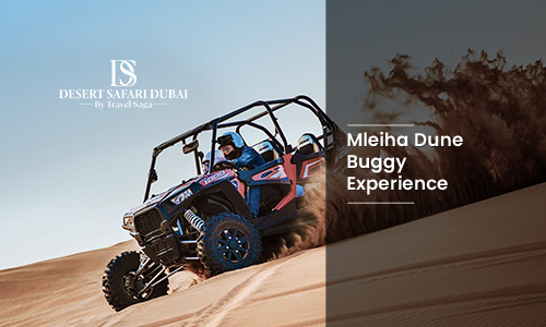 Mleiha Dune Buggy Experience