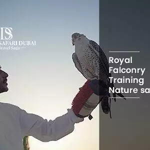 Royal Falconry Training and Nature Safari Dubai
