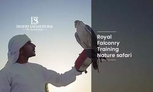 Royal Falconry Training and Nature Safari Dubai