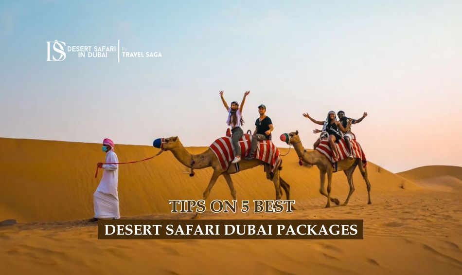 Tips On 5 Best Desert Safari Dubai Packages