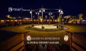Desert Safari Dubai | Desert Safari Dubai Tours Blog Banner by The Desert Safari in Dubai