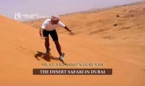 Desert Safari Dubai Adventures Blog Banner by thedesertsafariindubai.com