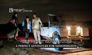 Desert Safari Tours | Desert Safari Dubai Packages Blog Banner by The Desert Safari in Dubai