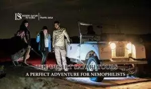 Desert Safari Tours Blog Banner by thedesertsafariindubai.com