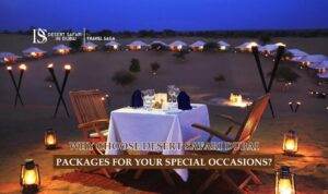 The desert safari in Dubai | luxury desert safari Blog Banner by The Desert Safari in Dubai