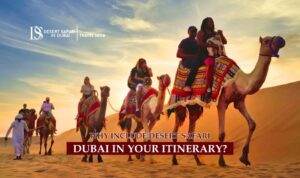 Desert Safari Dubai | Desert Safari Dubai Tours Blog Banner by The Desert Safari in Dubai