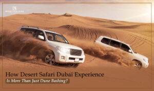 Desert Safari Dubai | Dune Bashing Dubai Blog Banner by The Desert Safari in Dubai