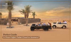 Desert Safari Dubai summer | Evening desert safari Dubai | Blog Banner by The Desert Safari in Dubai