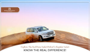 Red Dune Safari Dubai | Desert Safari Dubai blog banner by the desert safari in dubai