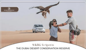 Dubai Desert Conservation Reserve | Desert wildlife Dubai Blog Banner By Desert Safari in Dubai