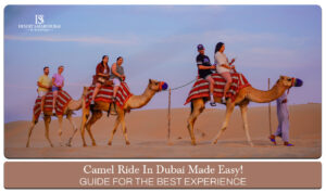 Camel ride Dubai | Dubai camel safari blog banner by the desert safari in duabi