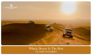 Desert Safari in Dubai | Desert Safari Dubai Tours Blog Banner By Desert Safari in Dubai