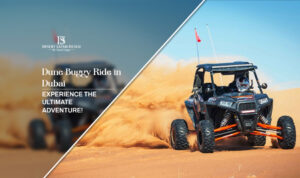 Dune buggy Dubai | Dune buggy adventure Dubai blog banner by The Desert Safari in Dubai
