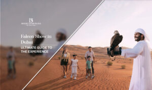 Falcon Show in Dubai | Dubai Falcon Shows blog banner by the desert safari in dubai
