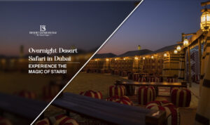 overnight desert safari | overnight desert camping safari Blog Banner Desert Safari in Dubai