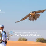 Falcons in Emirati culture | Falconry show Dubai Blog Banner by The Desert Safari in Dubai