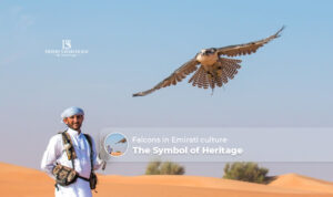 Falcons in Emirati culture | Falconry show Dubai Blog Banner by The Desert Safari in Dubai