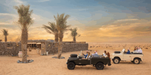 Platinum Desert Safari