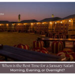 Best Time for a January Safari Blog Banner by The Desert Safari in Dubai