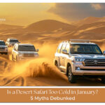 Desert safari in January Blog Banner By thedesertsafariindubai.com