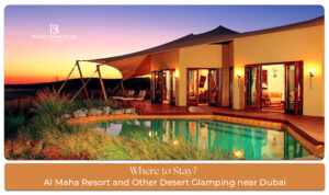 Glamping near Dubai Blog Banner By thedesertsafariindubai.com