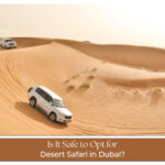 Is Dubai Desert Safari Safe blog banner by thedesertsafariindubai.com