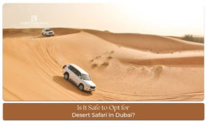 Is Dubai Desert Safari Safe blog banner by thedesertsafariindubai.com