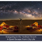 Stargazing in the Arabian Desert under a clear night sky