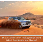 Dubai desert safari experience